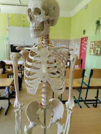 Soutěž o nejlepšího zdravoťáčka roku 2025