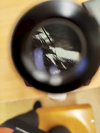 Biologická olympiáda - školní kolo