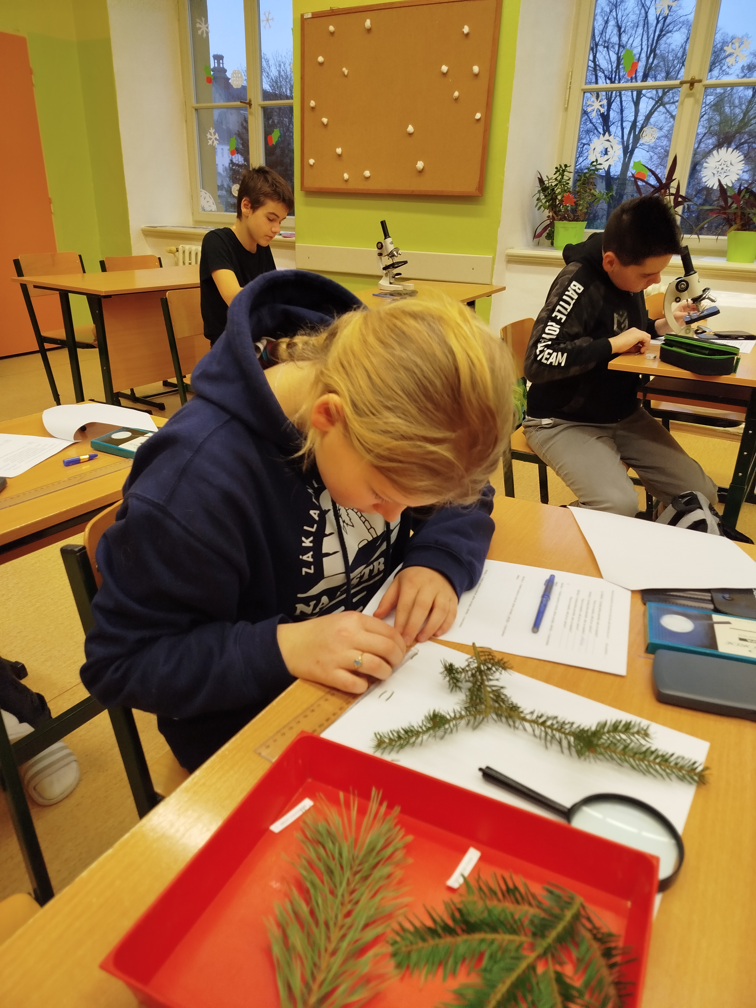 Biologická olympiáda - školní kolo