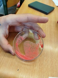 Objevujeme tajemství krevních skupin